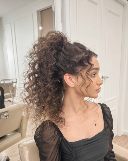 Curly High Ponytail
