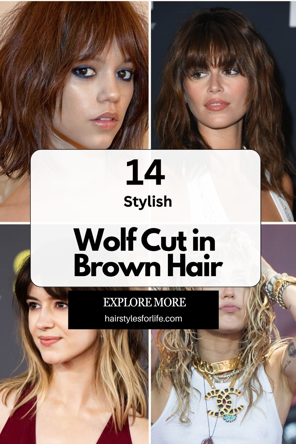 Wolf Cut in Brown Hair